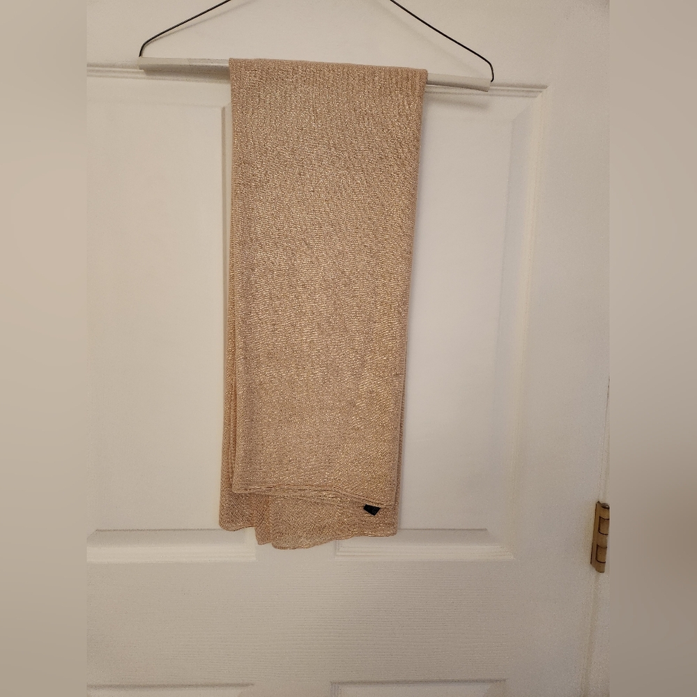 Sparkly Scarf, Express